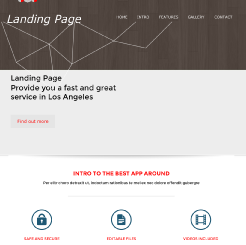 Landing Page